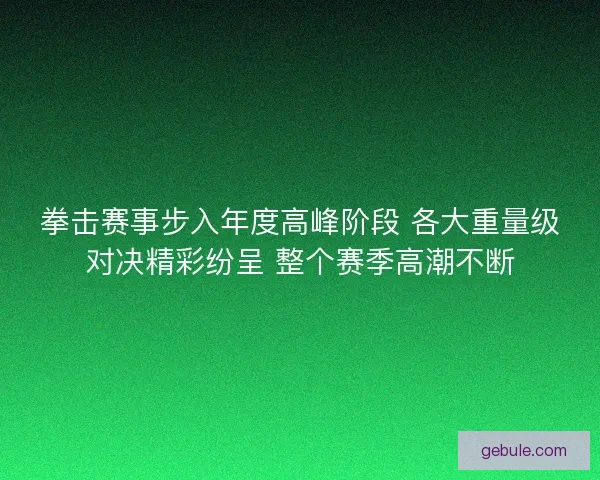 拳击赛事步入年度高峰阶段 各大重量级对决精彩纷呈 整个赛季高潮不断