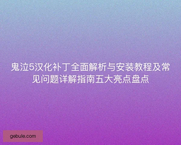 鬼泣5汉化补丁全面解析与安装教程及常见问题详解指南五大亮点盘点