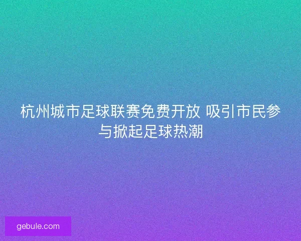 杭州城市足球联赛免费开放 吸引市民参与掀起足球热潮
